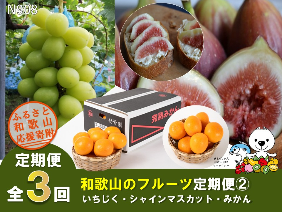 N908 【全3回定期便】フルーツ定期便②（いちじく・シャインマスカット・みかん）