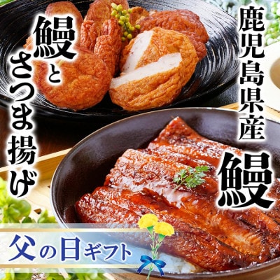 【父の日】鹿児島県産うなぎとさつま揚げ　大サイズ鰻1尾と3種類のさつま揚げ12枚入りA2-16F【配送不可地域：離島】【1605469】