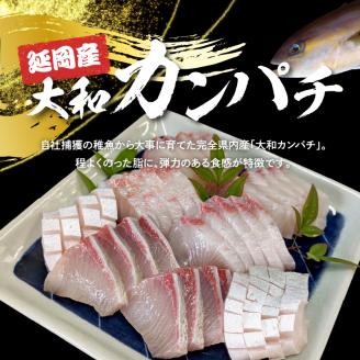 高級大和カンパチお造り4人前約320g N072-YA0434