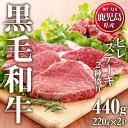 【ふるさと納税】鹿児島県産黒毛和牛ヒレステーキ2種盛り(計440g・220g×2P) 国産 九州産 牛肉 黒毛和牛 和牛 国産牛　ヒレ ステーキ 冷凍 【カミチク】