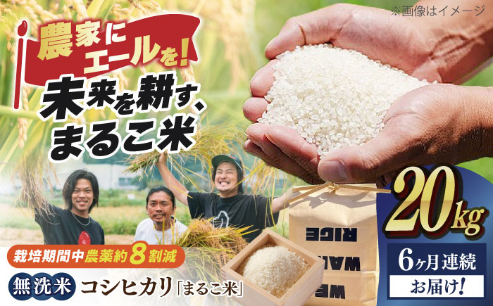 
            【全6回定期便】無洗米 コシヒカリ 滋賀県西浅井町産「まるこ米」20kg（5kg×4）　滋賀県長浜市/ONE SLASH 株式会社[AQCZ034]  米 お米 白米 無洗米 こしひかり 20kg 地域 応援 定期便
          