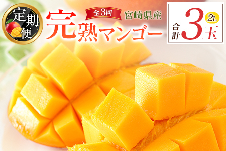 宮崎特産「完熟マンゴー2L×1玉」お届け定期便（全3回）計3玉 特産 国産 果物 フルーツ 旬 産地直送【E218-26】
