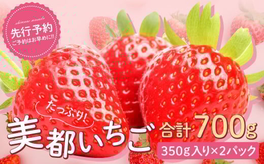 
            美都いちご（350g×2パック）【いちご 3月発送 先行予約 2パック 果物 フルーツ 苺 イチゴ 美都いちご 紅ほっぺ かおりの 350g×2パック 新鮮 冷蔵 期間限定 季節限定 早期予約】
          