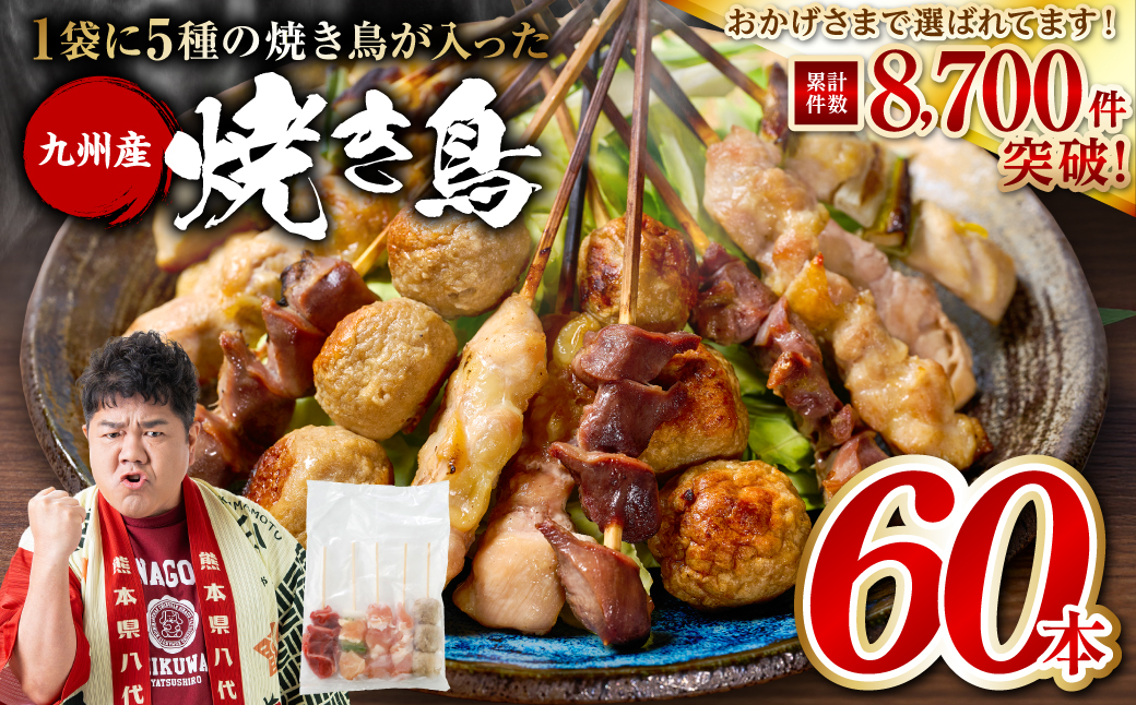  やきとり5種 60本(約1.5kg) 焼き鳥 やきとり 焼鳥 国産 鳥肉 鶏肉 国産鶏 やきとり串 焼き鳥串 焼鳥串 焼き鳥丼 やきとり丼 焼鳥丼 九州産 冷凍