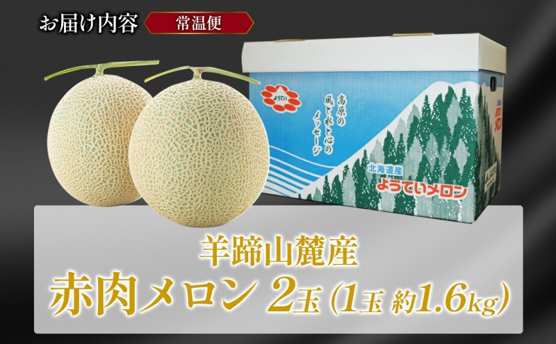 北海道 赤肉メロン 約1.6kg 2玉 メロン 赤肉 果物 フルーツ 甘