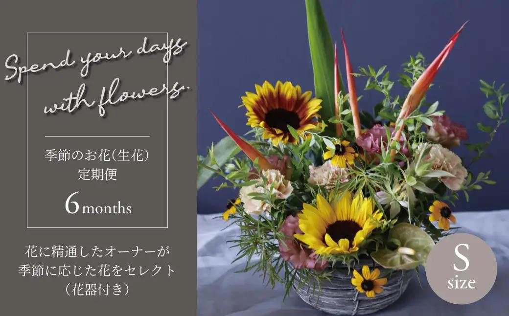 花 季節のお花 定期便 6か月 花