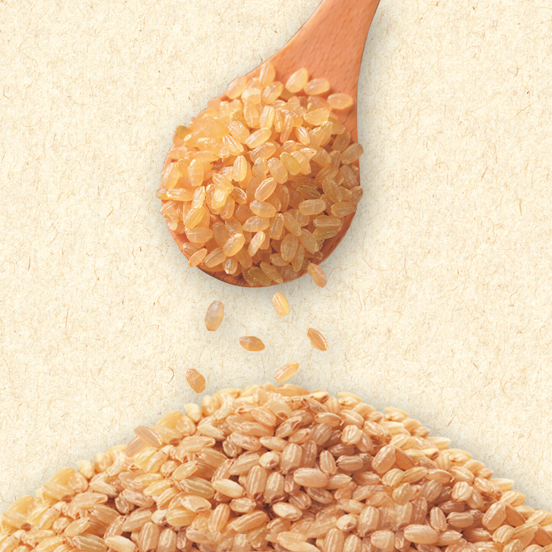 令和6年産 早炊 玄米  きぬむすめ 2kg×3袋 岡山県産　お米 国内産 ご飯 おにぎり お弁当 和食 国産 産地直送 玄米食 玄米の栄養素 