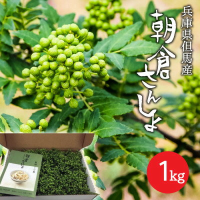 【ふるさと納税】朝倉さんしょ　1kg【配送不可地域：離島】【1616574】