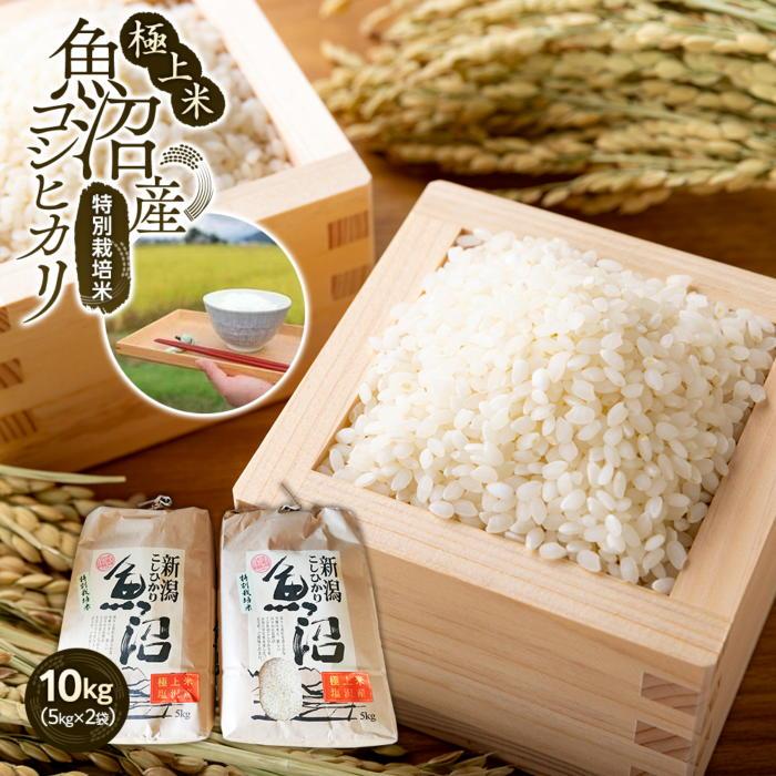 【ふるさと納税】【令和7年産】極上米魚沼産コシヒカリ特別栽培米10kg(5kg×2) | お米 こめ 白米 コシヒカリ 食品 人気 おすすめ 送料無料 魚沼 南魚沼 南魚沼市 新潟県産 新潟県