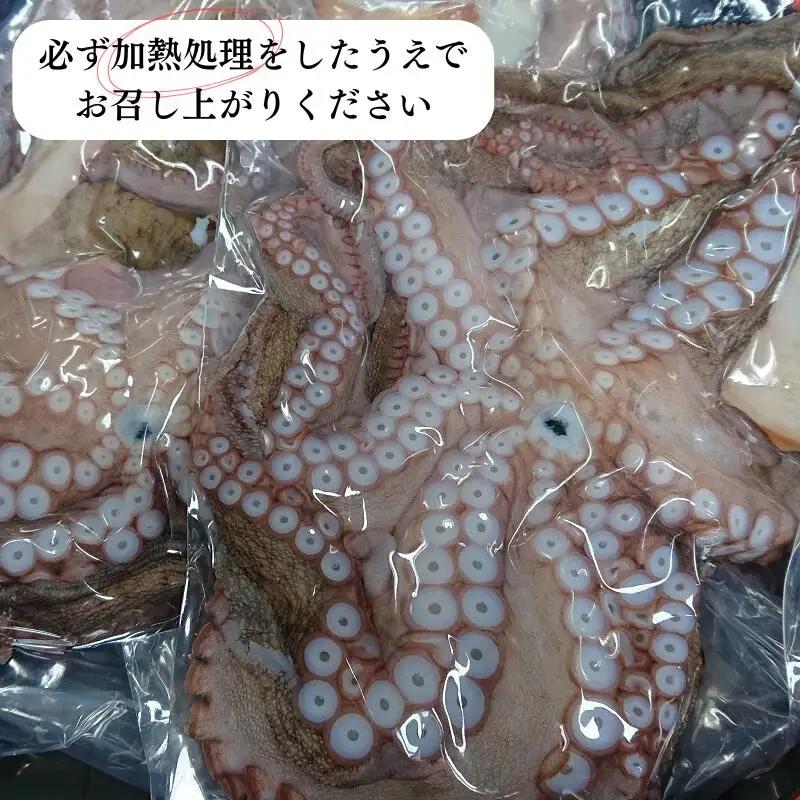 生真ダコ 丸ごと(1~4匹)下処理済 | タコ 蛸 たこ