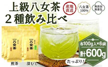 八女茶100％ 煎茶・深むし茶 違いを楽しむ上級茶飲み比べセット 100g×６袋＜岩崎園製茶＞　075-015