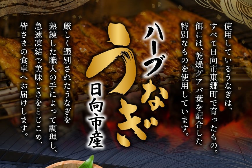 画像はイメージです