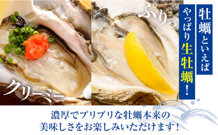 岩かき 1.5kg かき浜崎水産 牡蠣 生食