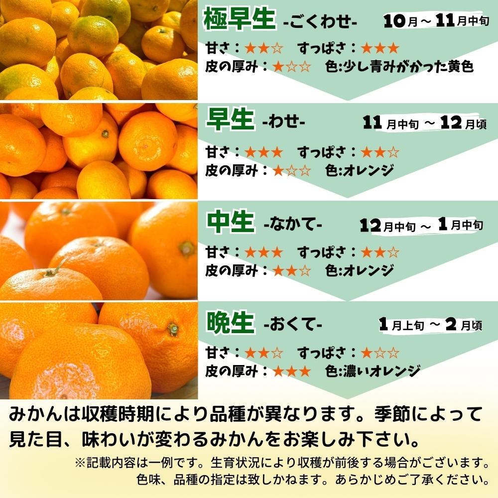 MK1005_【2025年先行予約】みかん Ｌサイズ 秀品 箱込 10kg ( 内容量 9.2kg ) 有田みかん 和歌山県産 産地直送 贈答用 【みかんの会】