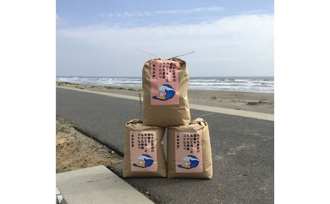 米 コシヒカリ みなみ米 5kg 九十九里産 お米 白米 精米 ご飯 ブランド米 産地直送 送料無料 こめ コメ おこめ ごはん こしひかり 千葉 千葉県 九十九里 九十九里町