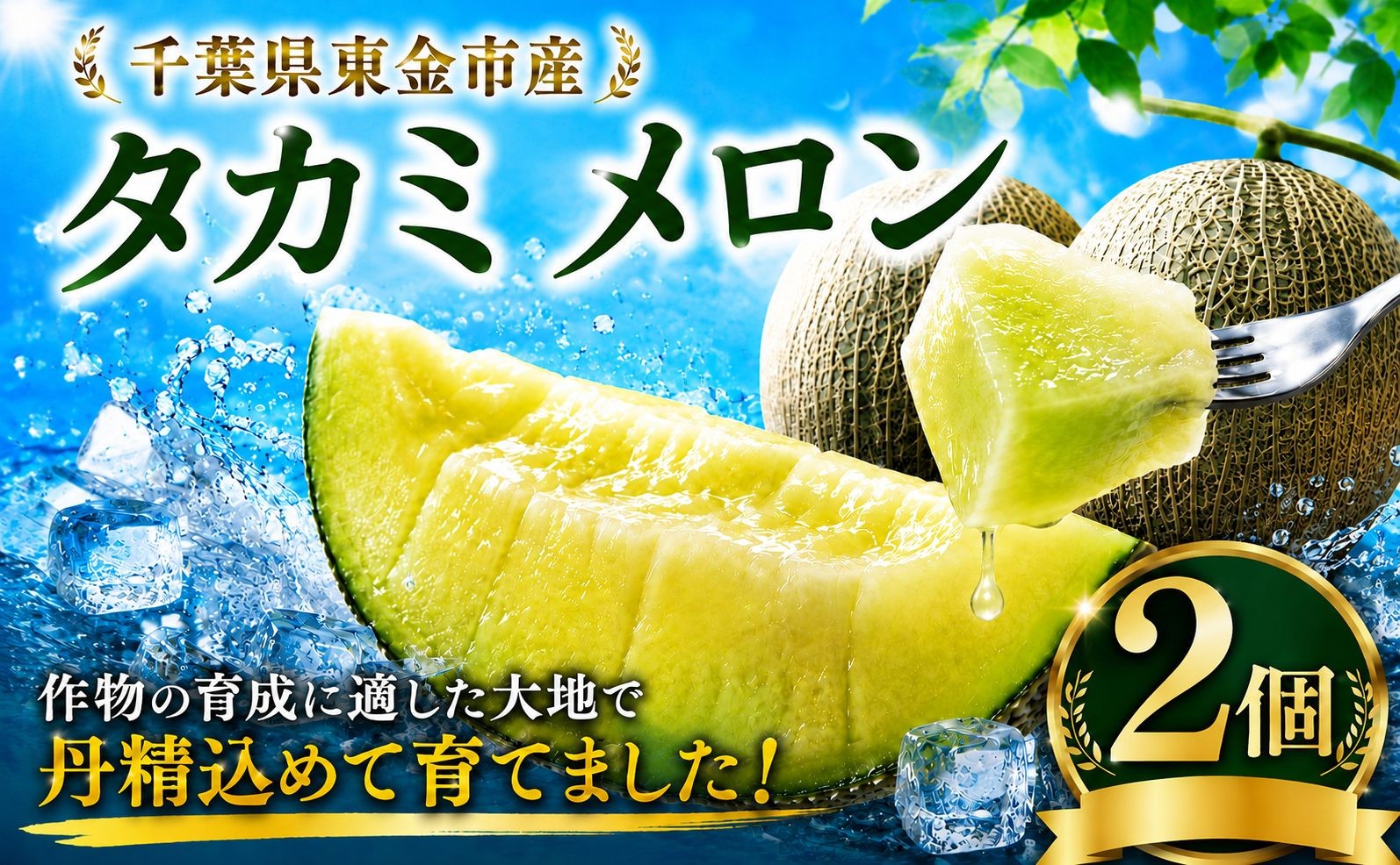 
                  タカミメロン 2個 高糖度 約2kg メロン 青肉 めろん たかみ 国産 夏 ギフト meron Melon 産地直送 数量限定 千葉県 旬 ジューシー 種 美肌 貧血予防 芳醇 濃厚 みずみずしい 厳選 家庭用 食べきりサイズ 果汁たっぷり 今井農園 千葉 東金
                