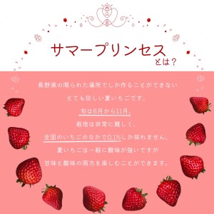【先行予約R8 年 7月以降順次発送】大空夏いちご農園　希少な夏いちご『サマープリンセス』１箱（2パック入り）【お届け希望日をご指定下さい（７月下旬から11月中旬まで）】
