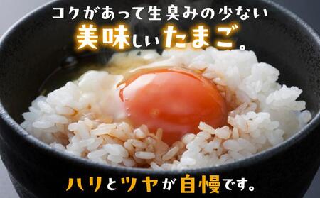 卵の黄身が掴めるほどの新鮮さ 美ら卵養鶏場の卵 40個【6ヶ月定期便】