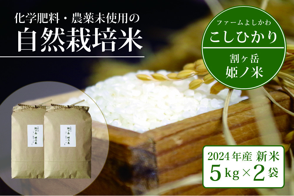 
信濃町産コシヒカリ「割ケ岳 姫乃米 10kg（5kg×2）」令和6年度の新米 ｜ 農薬未使用の自然米 【2024年11月以降発送】長野県信濃町ふるさと納税
