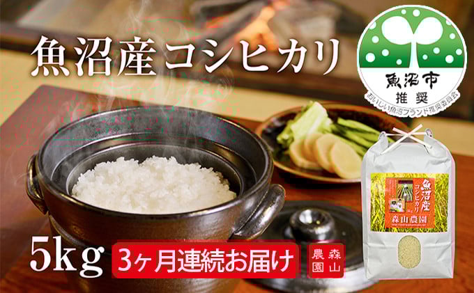 
                  [№5762-0649]森山農園 魚沼産コシヒカリ 5kg 3ヶ月連続お届け お米 
                