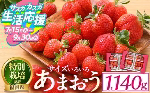 
            【期間限定】＜予約受付中！2025年12月中旬より順次発送予定＞＜不揃い＞あまおう(計1.14kg・285g×4P) 苺 いちご イチゴ フルーツ 果物 ヨーグルト ジャム スムージー 冷蔵 特別栽培 福岡県 国産＜離島配送不可＞【ksg1222】【うるう農園】
          