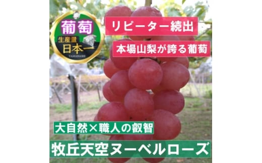 ＜2025年先行受付＞2025年10月上旬発送「幻の牧丘天空ヌーベルローズ」 約1kg(3～4房)【1473356】