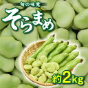 【ふるさと納税】旬の味覚 そらまめ 約2kg【2025年5月上旬～2025年6月上旬配送】 | 国産 高松市産 大粒 甘い 野菜 豆 旬 旬の味覚 食材 食品 おうち時間 家庭用 自宅用 贈り物 お取り寄せ 産地直送 瀬戸内 五色青果 香川県 高松市 送料無料