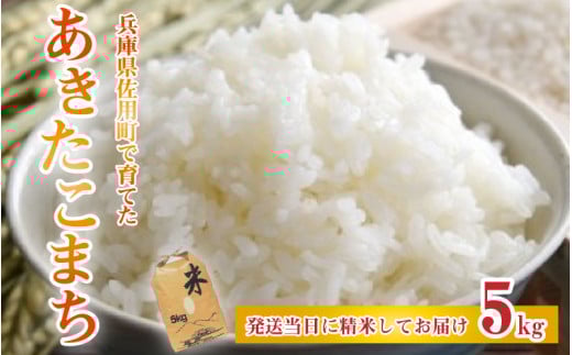 兵庫県佐用町で育てたあきたこまち 5kg  兵庫県産 あきたこまち 減農薬米 精米 お米 特Aランク