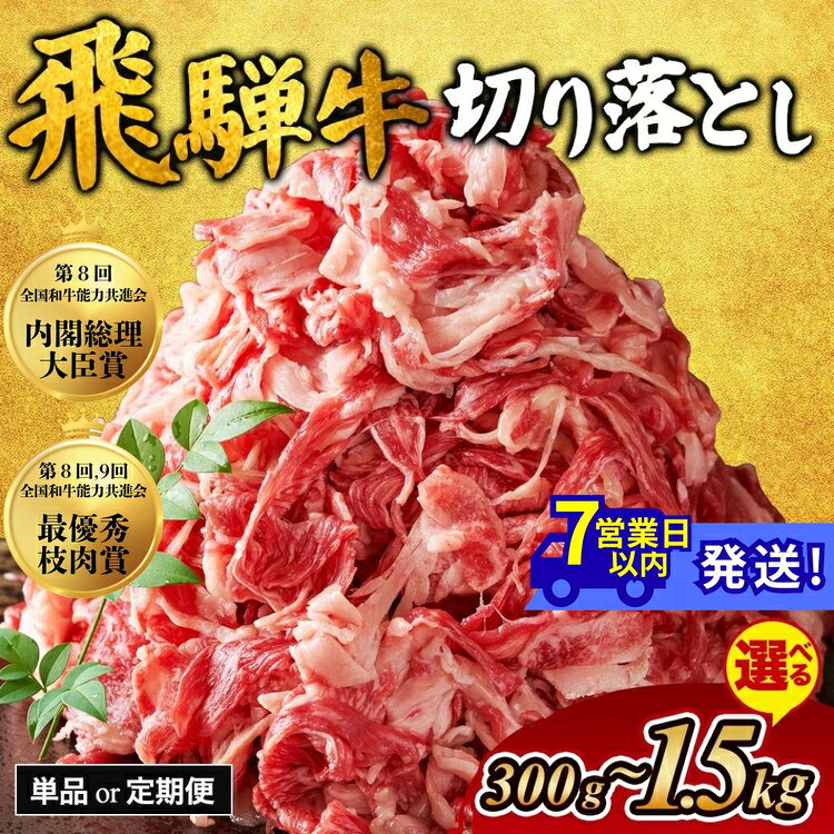 【ふるさと納税】【選べる内容量・定期便】飛騨牛 切り落とし｜300g 500g 800g 1kg 1.5kg 牛肉 和牛 国産 1万円以下 切り落し 切落し 定期便 スライス 焼肉 すき焼き カレー 赤身 赤身肉 牛 肉 夜ごはん 晩ごはん ご飯