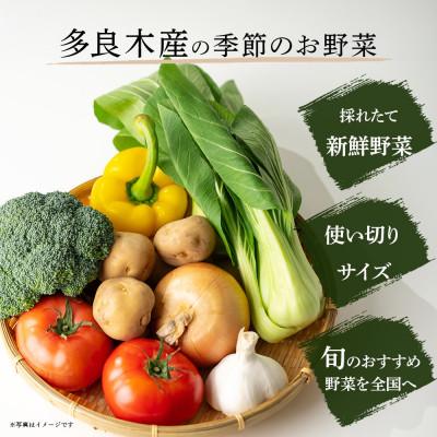 ふるさと納税 多良木町 【毎月定期便】熊本の大地の恵み 旬のこだわり野菜詰め合わせセット 8〜12品(3〜4名様向け)全6回 |  | 01