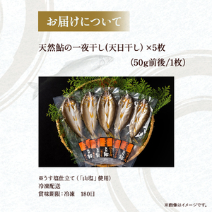 頭からガブッと！四万十川の天然小鮎 一夜干し（5枚セット） Esg-A25 あゆ アユ 鮎 魚 魚介 川魚 塩焼き 干物 ひもの 海鮮
