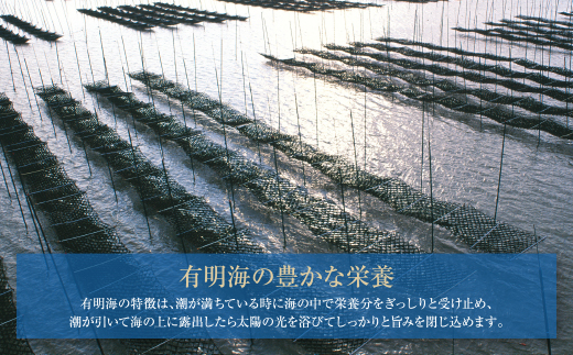 【訳あり】有明海産 焼き海苔 2切8枚×13袋