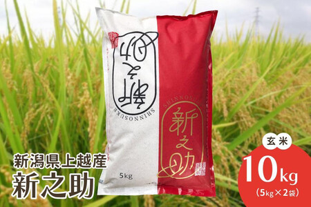 令和7年・新潟県上越産|新潟ブランド米「新之助」 玄米10kg(5kg×2袋)