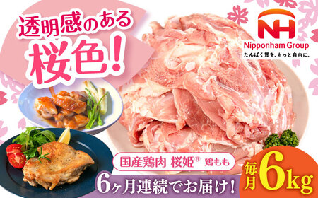 【全6回定期便】桜姫 鶏もも 計6kg （2kg×3パック）【東日本フード株式会社】 国産 鶏 とり肉 もも もも肉 鶏もも 冷凍 北海道 [AXBM039]