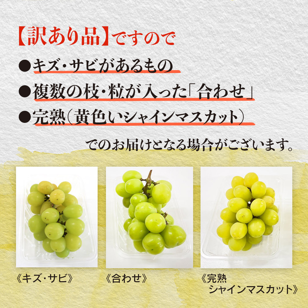 【２０２５年発送】先行予約！九州福岡フルーツ王国八女　訳ありシャインマスカット　約１．４ｋｇ【数量限定】＜配送不可：北海道・沖縄・離島＞