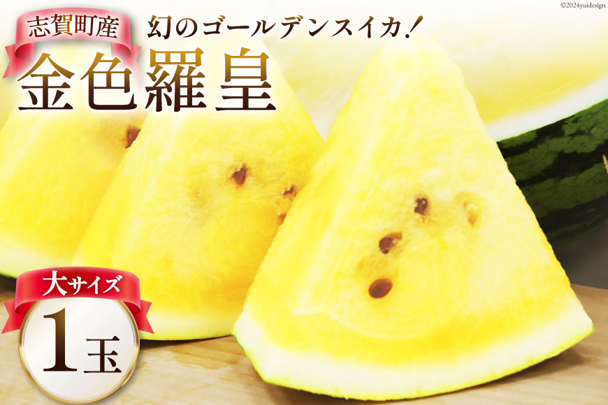 【期間限定】スイカ 大サイズ 金色羅皇（黄色）【幻のゴールデンスイカ】8kg前後 1玉 [米吉農園 石川県 志賀町 BA4126] すいか 西瓜 黄色スイカ 果物 フルーツ 野菜