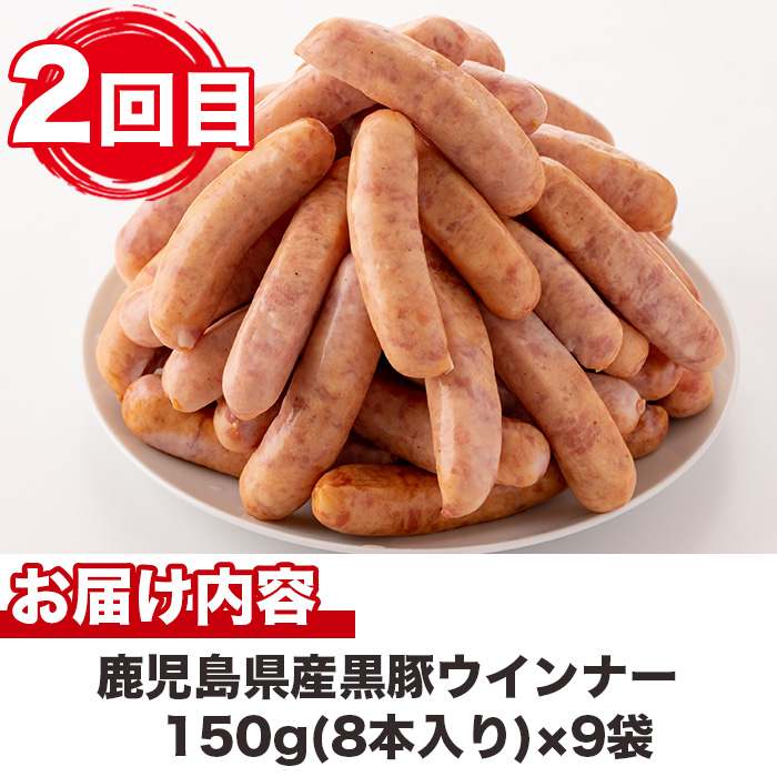 No.725 ＜定期便・全5回(連続)＞鹿児島産黒豚味わい尽くしコース(黒豚味噌漬けや炭焼き焼豚、ウインナー、切り落とし肉、フランクフルト、黒豚ロース肉)国産 【コワダヤ】
