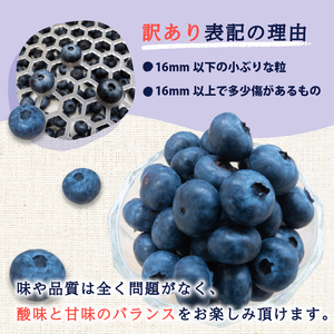 【訳あり】ブルーベリー 500g x 4 パック 合計 2kg 冷凍  ﾌﾞﾙｰﾍﾞﾘｰ ﾌﾞﾙｰﾍﾞﾘｰ ﾌﾞﾙｰﾍﾞﾘｰ ﾌﾞﾙｰﾍﾞﾘｰ ﾌﾞﾙｰﾍﾞﾘｰ ﾌﾞﾙｰﾍﾞﾘｰ ﾌﾞﾙｰﾍﾞﾘｰ ﾌ