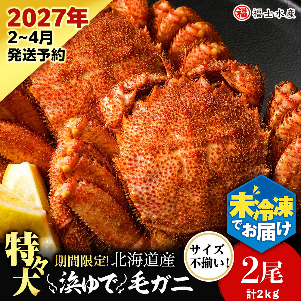【ふるさと納税】【2027年発送予約】チルドでお届け！ 浜茹で毛ガニ特々大2尾（不揃い合計約2kg） 〈福士水産〉北海道ふるさと納税 利尻富士町 北海道 海鮮 かにふるさと納税 北海道 カニ ふるさと納税 北海道 蟹 毛ガニ 毛蟹 蟹みそ 毛ガニ 冷蔵 ゆで毛ガニ 新物