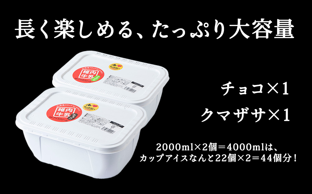 【業務用】稚内牛乳アイスクリーム2000mlチョコ味×クマザサ2個セット