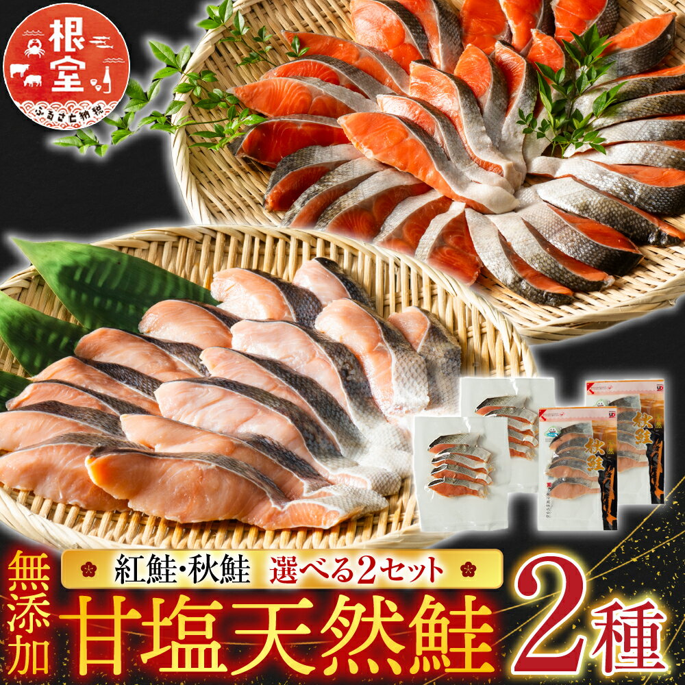【ふるさと納税】 根室海鮮市場 ＜直送＞ 無添加甘塩天然鮭 2 種セット 紅鮭 秋鮭 鮭 さけ サケ しゃけ シャケ 魚 さかな サカナ 切り身 切身 北海道 根室市