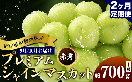 【先行予約】ぶどう 岡山県船穂地区産 プレミアム シャインマスカット 晴王 赤秀 700g 1房 2ヶ月定期便 彩美菜果《9月上旬-10月末頃出荷》 マスカット 岡山県 浅口市 フルーツ 果物 贈り物 国産 くだもの 【配送不可地域あり】（北海道・沖縄・離島）