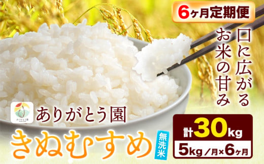 182. 【6ヶ月定期便】 令和5年産 米 岡山県産 きぬむすめ 無洗米 選べる 5kg ありがとう園《お申込み月の翌月から出荷開始》岡山県 矢掛町 無洗米 米 コメ 一等米 定期便 定期