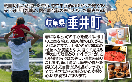 水車の石臼で挽いたそば粉 約1.5kg（500g×3袋）｜そば そば粉 岐阜県 垂井町 水車挽き 石臼挽き そば打ち ガレット 地産 おうち時間 趣味