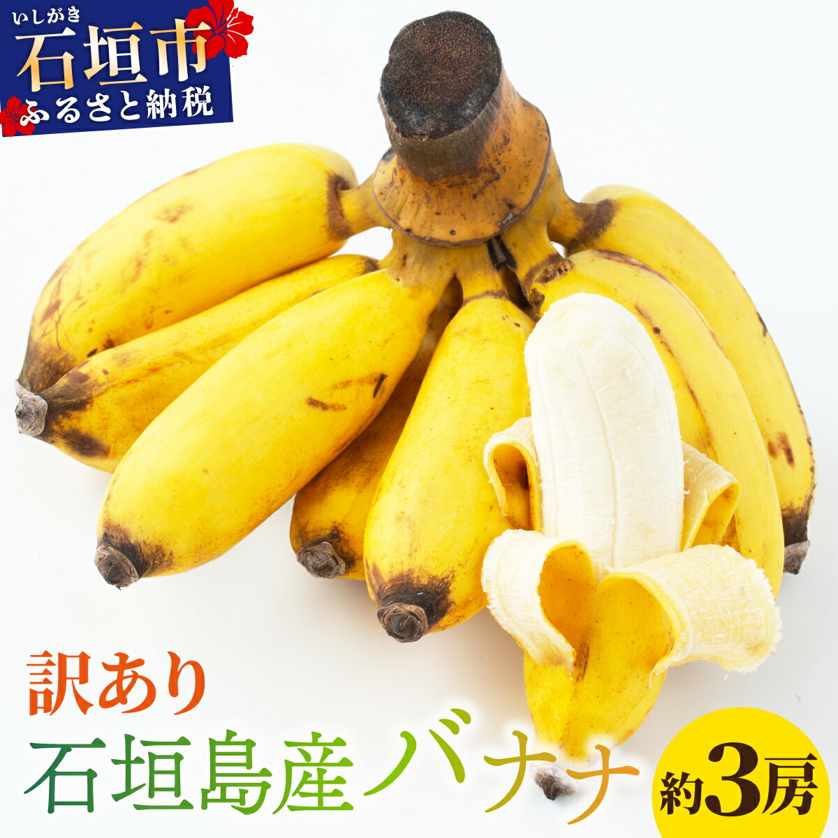 【ふるさと納税】＜訳あり＞ 大満足！石垣島産バナナ3房 ＜2026年6〜10月発送＞ | ふるさと納税 バナナ 訳あり フルーツ 果物 果実 南国フルーツ 沖縄県石垣市 沖縄県 石垣市 石垣島 産地直送 ふるさと 人気 送料無料 KP-22