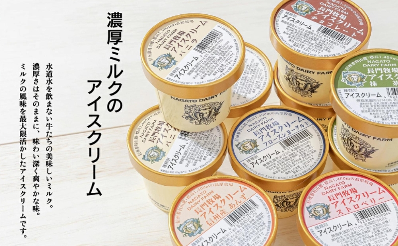 【定期便】3ヵ月連続でお届け！長門牧場アイスクリーム 480ml 3個セット バニラ チョコレート アイス ギフト スイーツ デザート 人気 おすすめ 高評価 お土産 ご当地 ひんやりスイーツ 