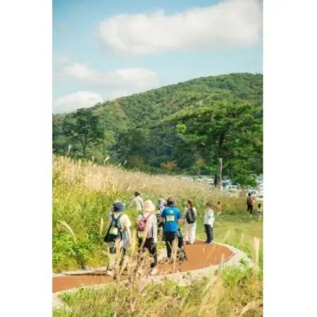 安芸太田ウォーキング大会 in 深入山「もみじウォーク(20キロコース)大人1名」【1742793】