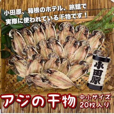 ふるさと納税 小田原市 鯵の干物 中小サイズ20枚セット 小田原、箱根のホテル、旅館で使われています【神奈川県小田原市早川】
