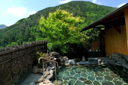 下呂温泉 【水鳳園】宿泊補助券(90,000円分）宿泊券 旅行 宿 温泉【a012-3】