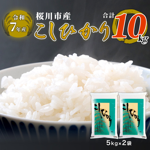 【 令和8年産 】数量限定 桜川市産 こしひかり 10kg（5kg×2袋） 茨城県産 桜川 米 お米 白米 コメ ごはん 精米 コシヒカリ こしひかり 国産 限定 [AX009sa]